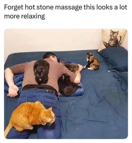 Forget hot stone massage this looks a lot more relaxing