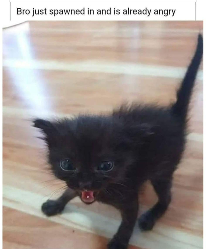 Bro just spawned in and is already angry