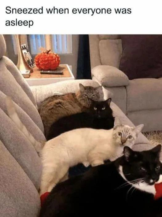Sneezed when everyone was asleep