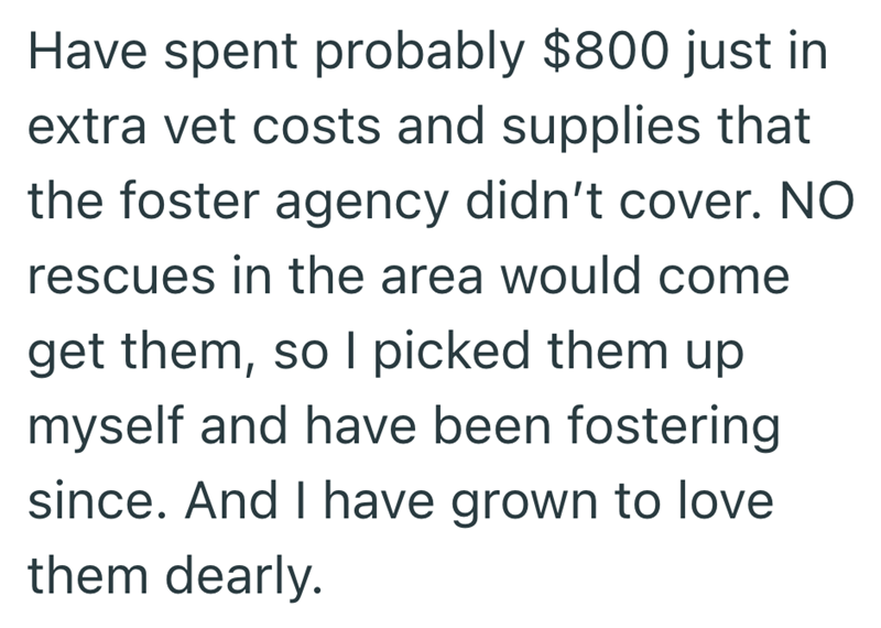 Have spent probably $800 just in extra vet costs and supplies that the foster agency didn't cover. NO rescues in the area would come get them, so I picked them up myself and have been fostering since. And I have grown to love them dearly.