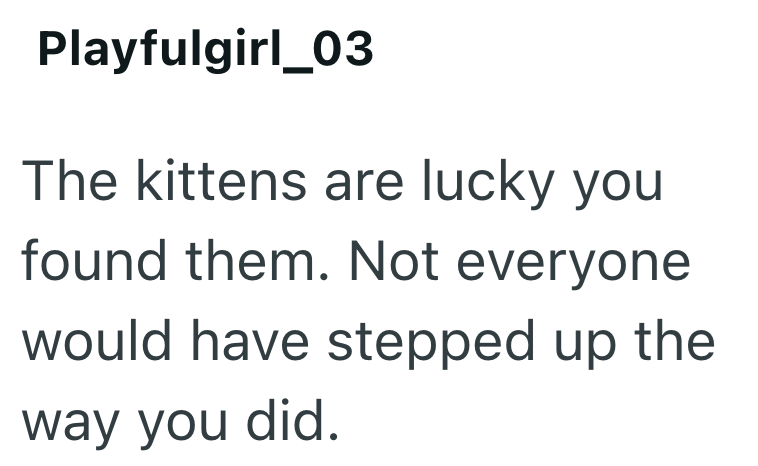 Playfulgirl_03 The kittens are lucky you found them. Not everyone would have stepped up the way you did.