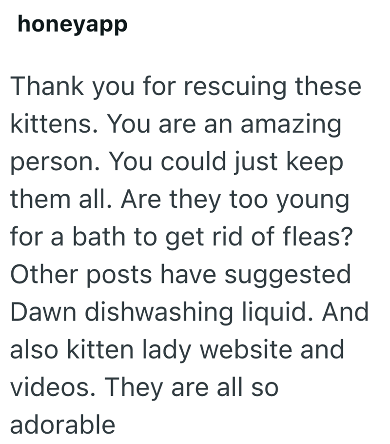 honeyapp Thank you for rescuing these kittens. You are an amazing person. You could just keep them all. Are they too young for a bath to get rid of fleas? Other posts have suggested Dawn dishwashing liquid. And also kitten lady website and videos. They are all so adorable