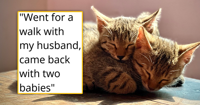 "Went for a walk with my husband, came back with two babies"