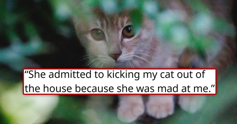 "She admitted to kicking my cat out of the house because she was mad at me."