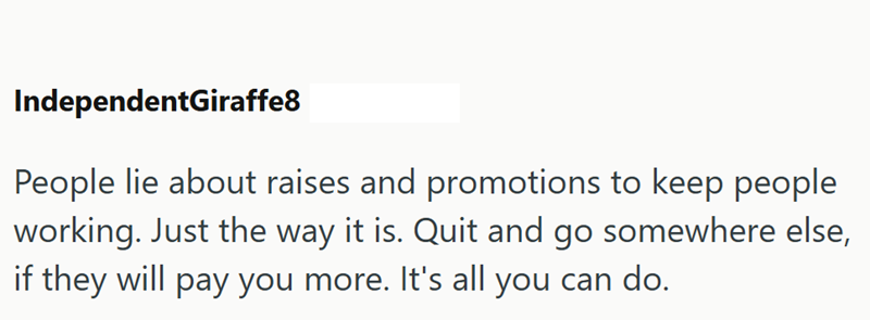 IndependentGiraffe8 People lie about raises and promotions to keep people working. Just the way it is. Quit and go somewhere else, if they will pay you more. It's all you can do.