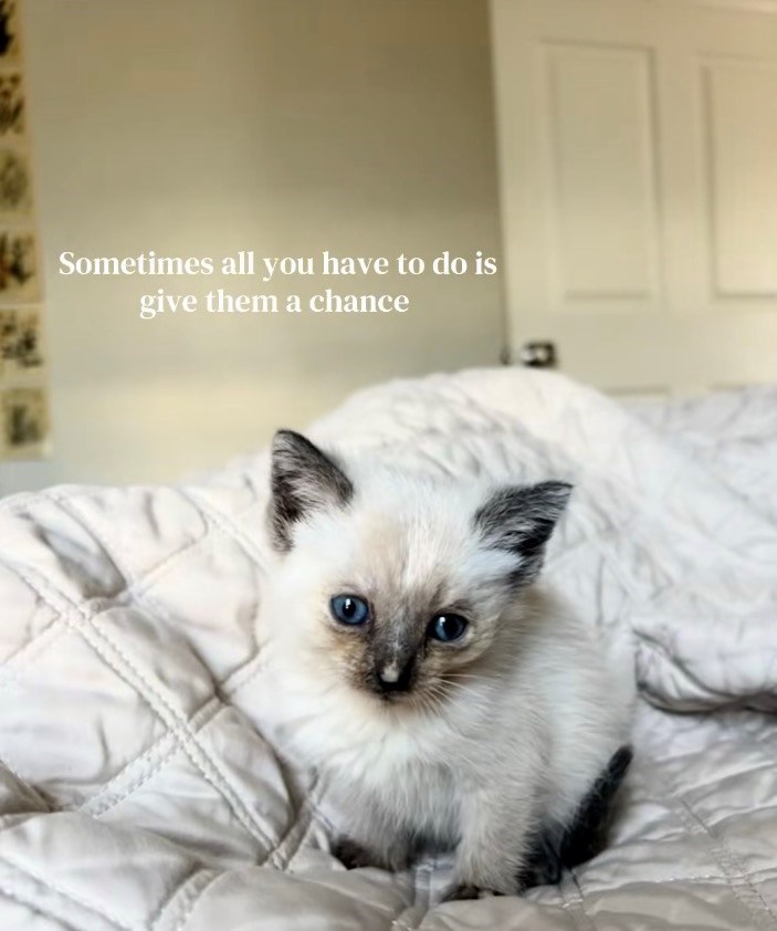 Sometimes all you have to do is give them a chance