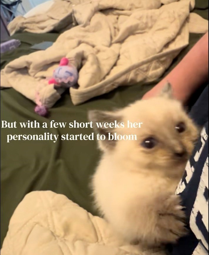 But with a few short weeks her personality started to bloom