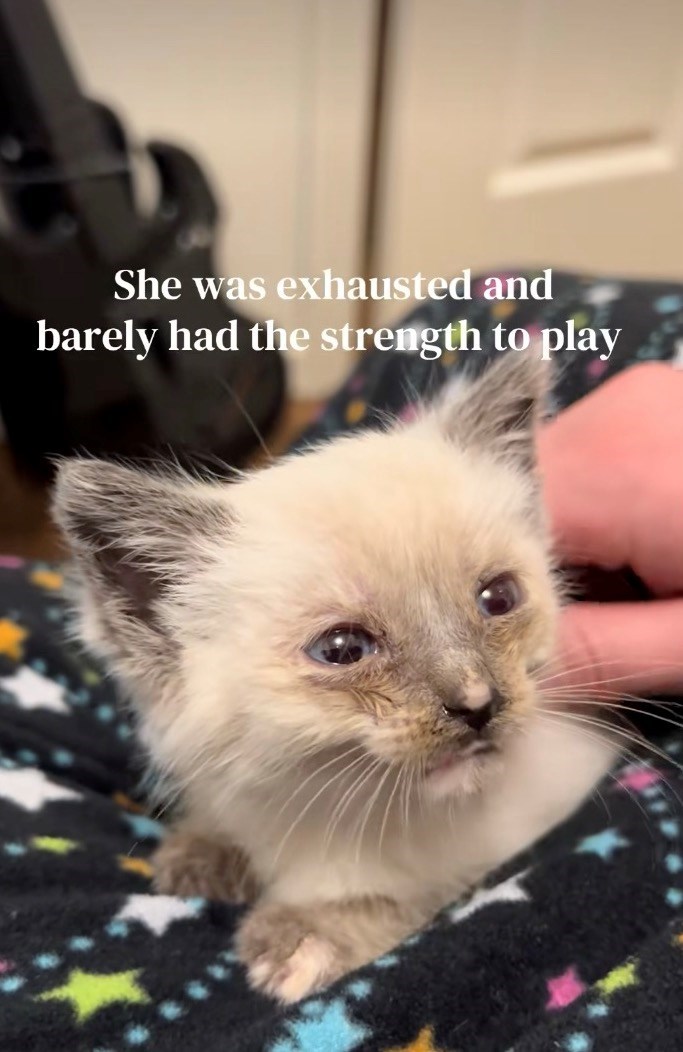 She was exhausted and barely had the strength to play
