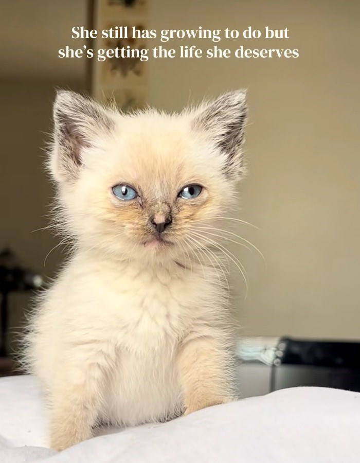She still has growing to do but she's getting the life she deserves