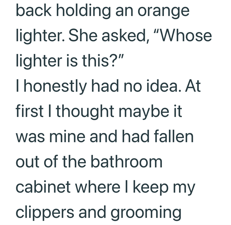 back holding an orange lighter. She asked, "Whose lighter is this?" I honestly had no idea. At first I thought maybe it was mine and had fallen out of the bathroom cabinet where I keep my clippers and grooming