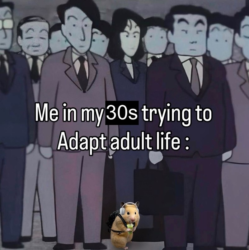 Me in my 30s trying to Adapt adult life: