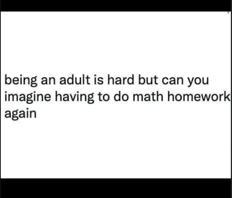 being an adult is hard but can you imagine having to do math homework again