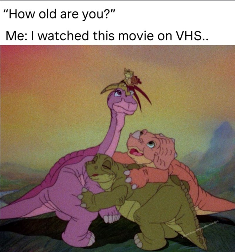 "How old are you?" Me: I watched this movie on VHS.. Chicken Soup For The Millennial Soul