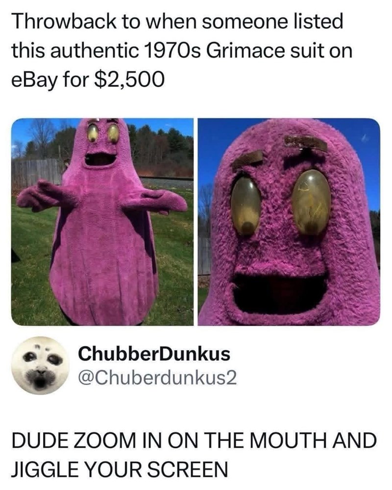 Throwback to when someone listed this authentic 1970s Grimace suit on eBay for $2,500 ChubberDunkus @Chuberdunkus2 DUDE ZOOM IN ON THE MOUTH AND JIGGLE YOUR SCREEN