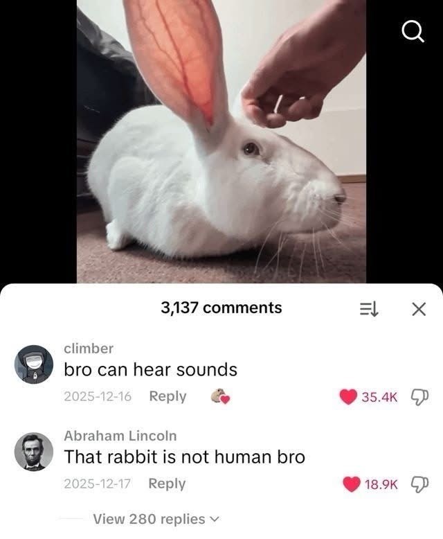 climber Q 3,137 comments = X bro can hear sounds 2025-12-16 Reply Abraham Lincoln That rabbit is not human bro 2025-12-17 Reply View 280 replies 35.4K 18.9K
