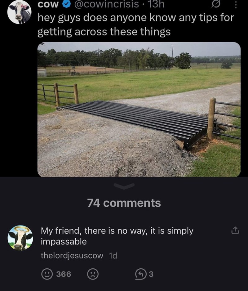 COW @cowincrisis • 13h hey guys does anyone know any tips for getting across these things 74 comments My friend, there is no way, it is simply impassable thelordjesuscow 1d 366 B