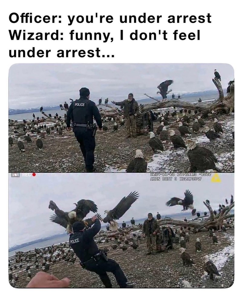 Officer: you're under arrest Wizard: funny, I don't feel under arrest... ARED POLICE POLICE 2024-01-08 14:42:13 -0800 AXON BODY 3 X60A73547