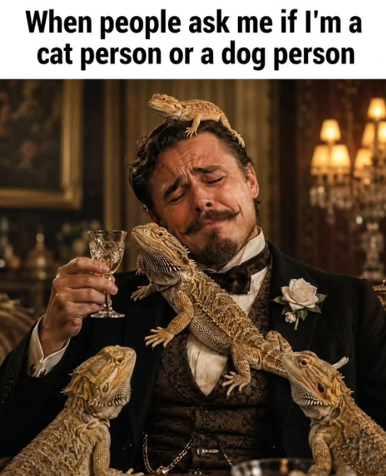 When people ask me if I'm a cat person or a dog person