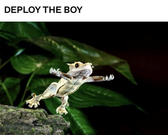 DEPLOY THE BOY