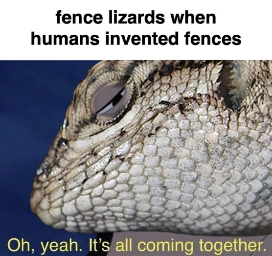 fence lizards when humans invented fences Oh, yeah. It's all coming together.