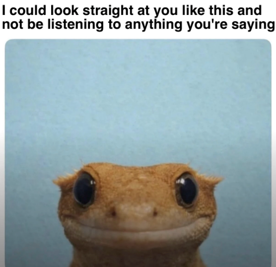 I could look straight at you like this and not be listening to anything you're saying