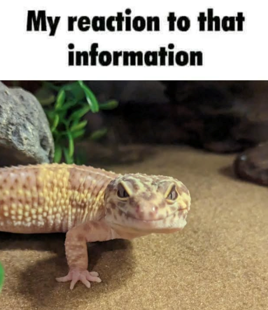 My reaction to that information