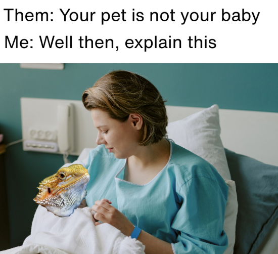 Them: Your pet is not your baby Me: Well then, explain this