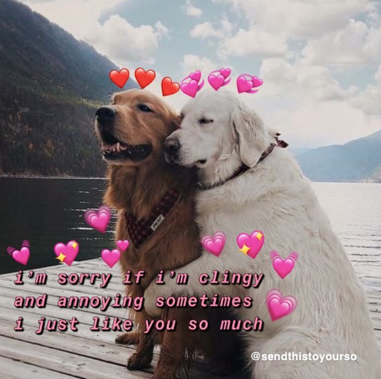 AW i'm sorry if i'm clingy and annoying sometimes i just like you so much @sendthistoyourso
