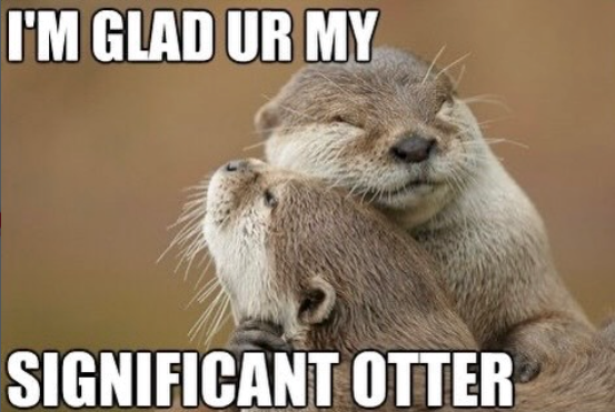 I'M GLAD UR MY SIGNIFICANT OTTER