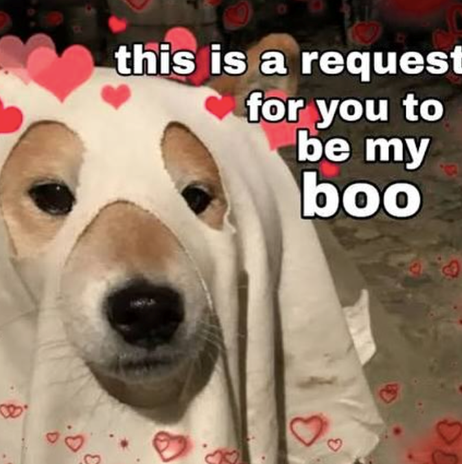 B. this is a request for you to be my boo