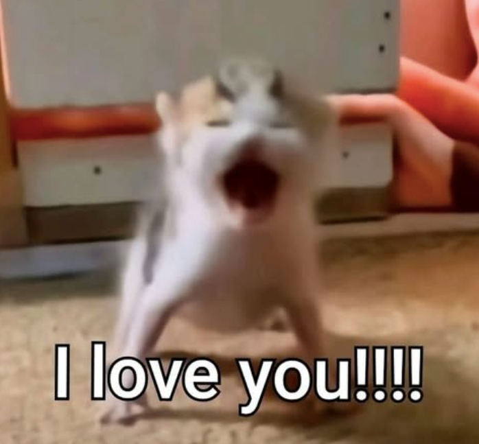 I love you!!!!