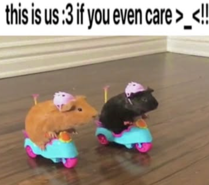 this is us :3 if you even care >_<!!