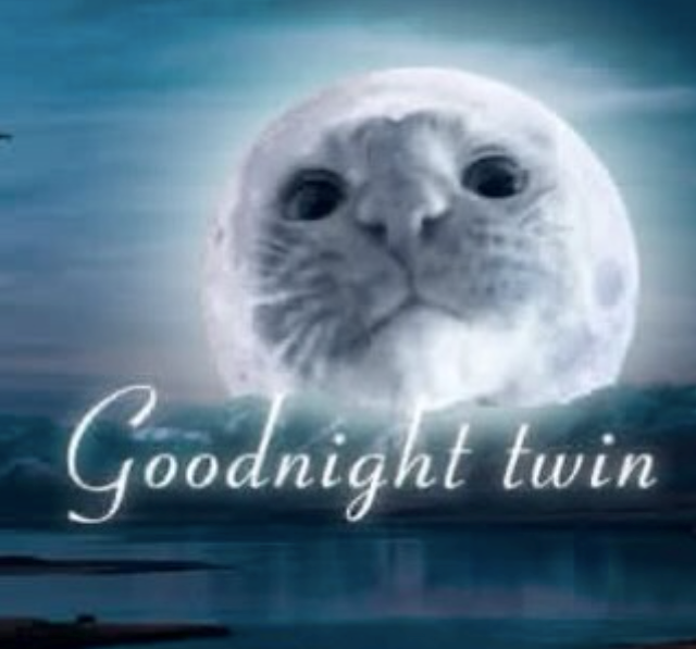 Goodnight twin