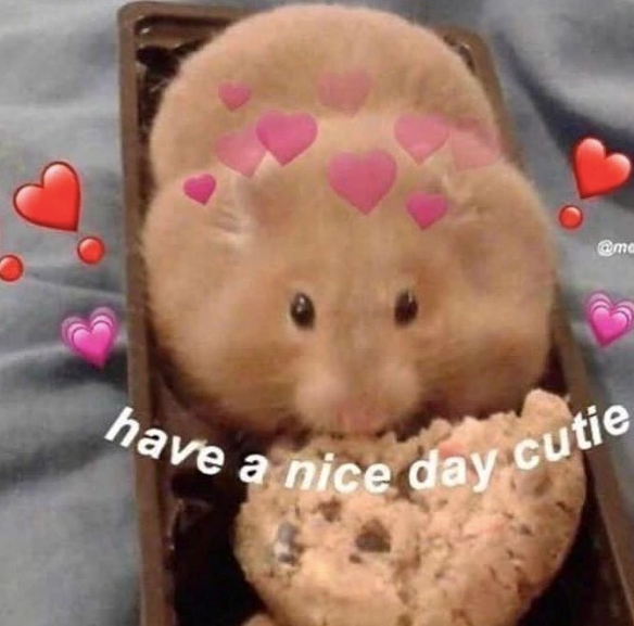 @ma have a nice day cutie