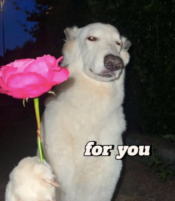 for you