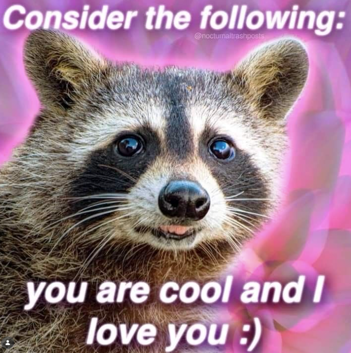 Consider the following: @nocturnaltrashposts you are cool and I love you :)