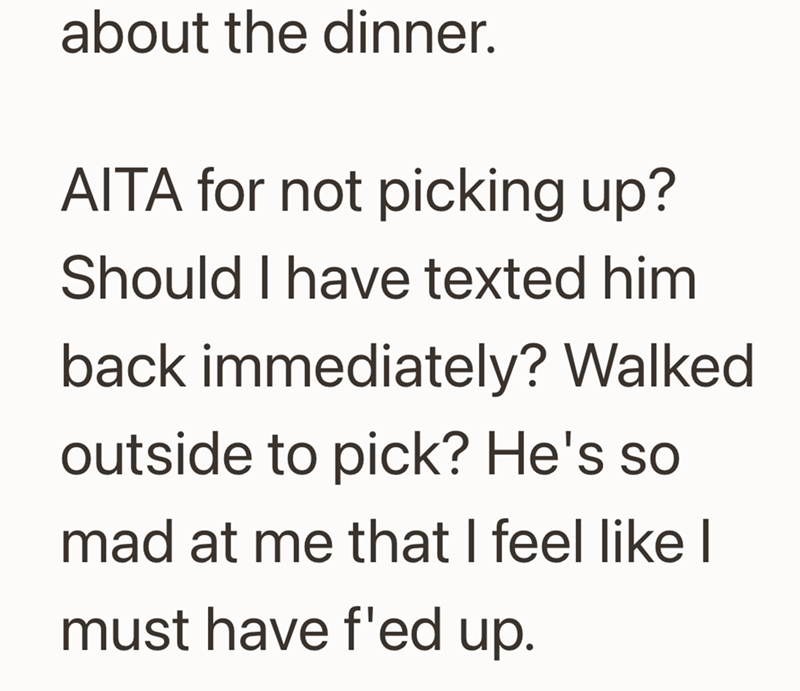 about the dinner. AITA for not picking up? Should I have texted him back immediately? Walked outside to pick? He's so mad at me that I feel like | must have f'ed up.