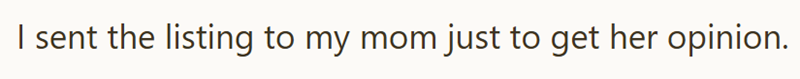 I sent the listing to my mom just to get her opinion.