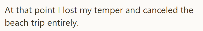At that point I lost my temper and canceled the beach trip entirely.