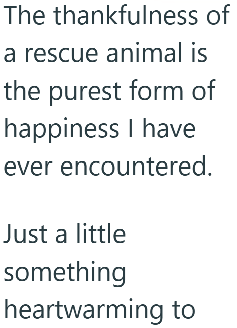 The thankfulness of a rescue animal is the purest form of happiness I have ever encountered. Just a little something heartwarming to