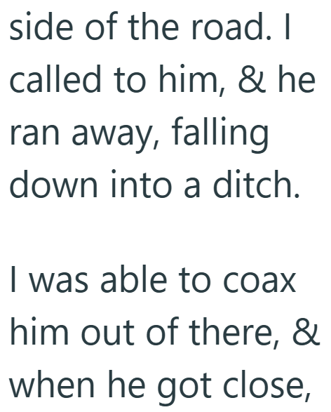 side of the road. I called to him, & he ran away, falling down into a ditch. I was able to coax him out of there, & when he got close,