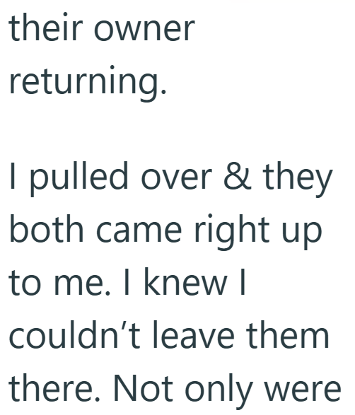 their owner returning. I pulled over & they both came right up to me. I knew I couldn't leave them there. Not only were