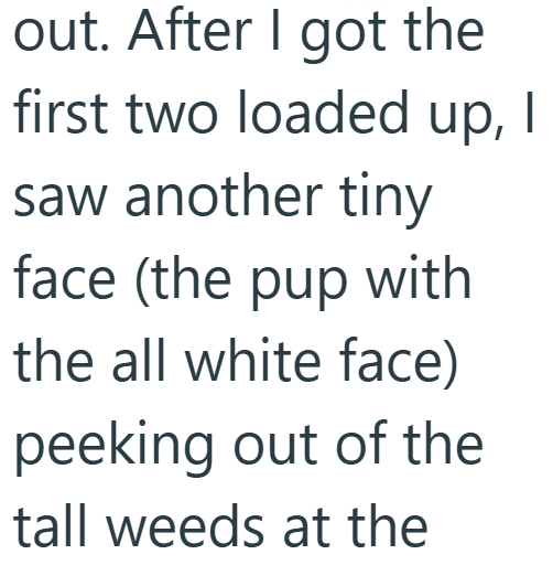 out. After I got the first two loaded up, | saw another tiny face (the pup with the all white face) peeking out of the tall weeds at the