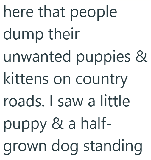 here that people dump their unwanted puppies & kittens on country roads. I saw a little puppy & a half- grown dog standing