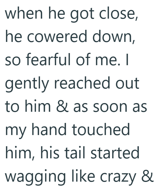 when he got close, he cowered down, so fearful of me. I gently reached out to him & as soon as my hand touched him, his tail started wagging like crazy &