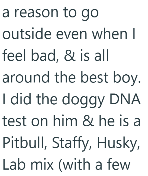 a reason to go outside even when I feel bad, & is all around the best boy. I did the doggy DNA test on him & he is a Pitbull, Staffy, Husky, Lab mix (with a few