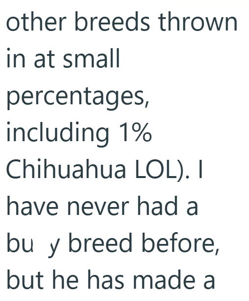 other breeds thrown in at small percentages, including 1% Chihuahua LOL). I have never had a bu y breed before, but he has made a