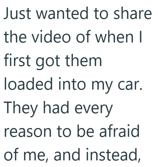 Just wanted to share the video of when I first got them loaded into my car. They had every reason to be afraid of me, and instead,