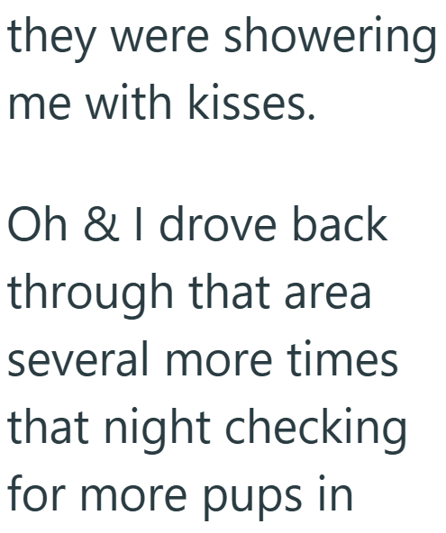 they were showering me with kisses. Oh & I drove back through that area several more times that night checking for more pups in