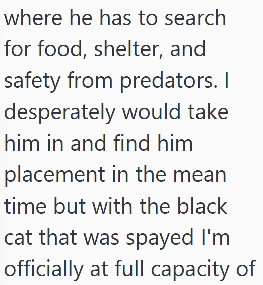 where he has to search for food, shelter, and safety from predators. I desperately would take him in and find him placement in the mean time but with the black cat that was spayed I'm officially at full capacity of